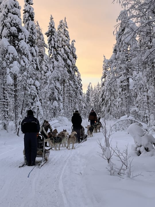 Winter sled ride with huskies in Kalajoki