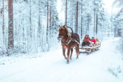 Rekiajelu suomenhevosella Apukassa, Rovaniemellä