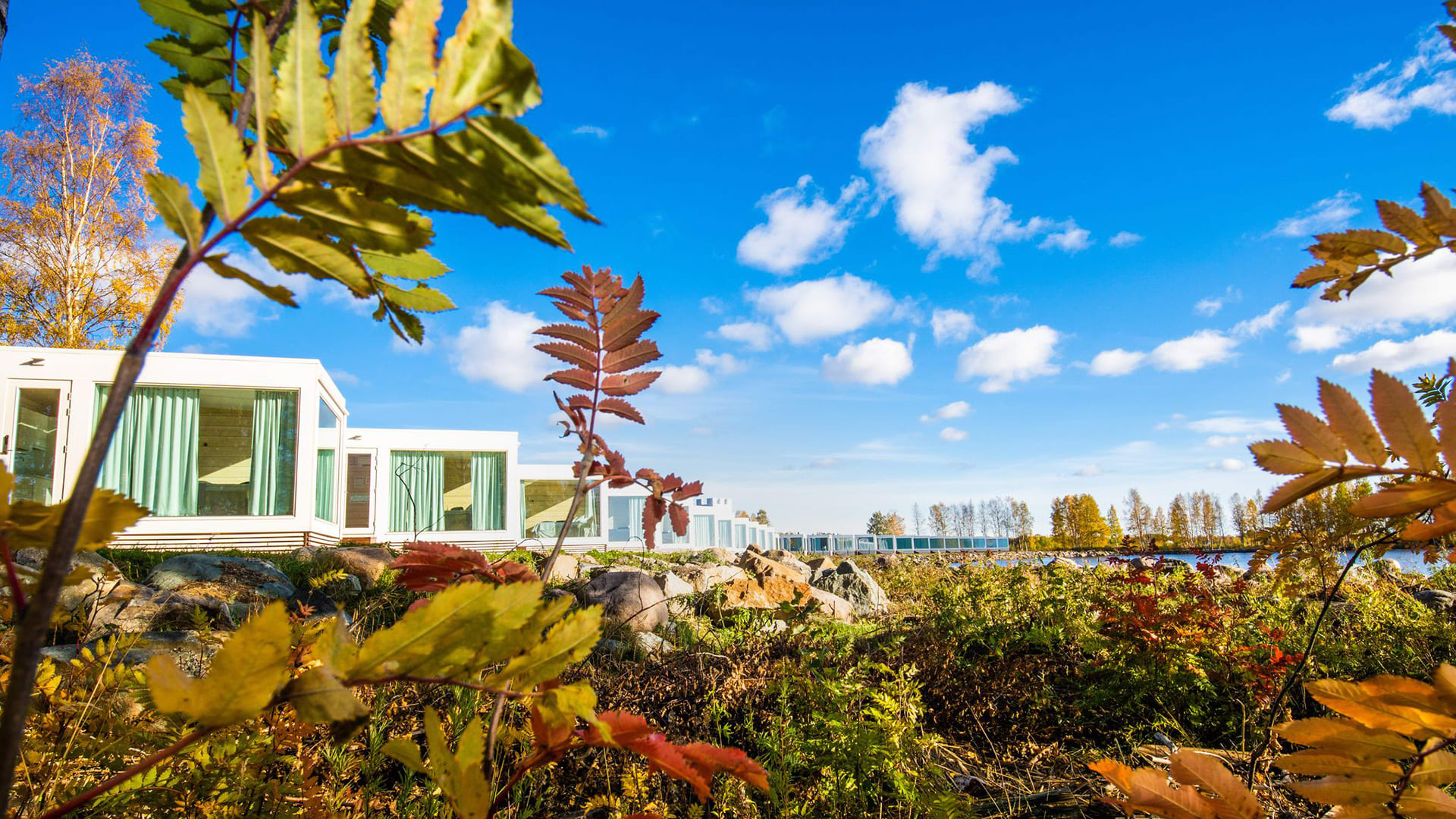 Villas surrounded in autumn leaves