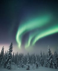 Revontuli metsästys