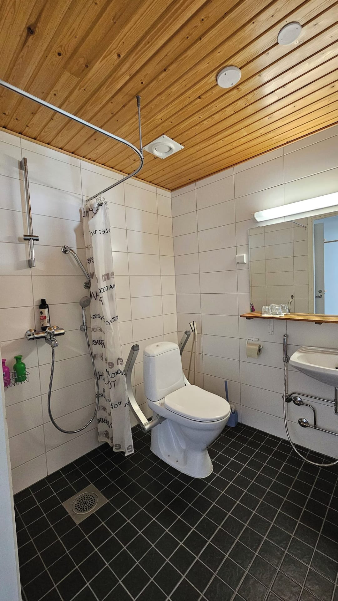 Bath room, shower and toilet