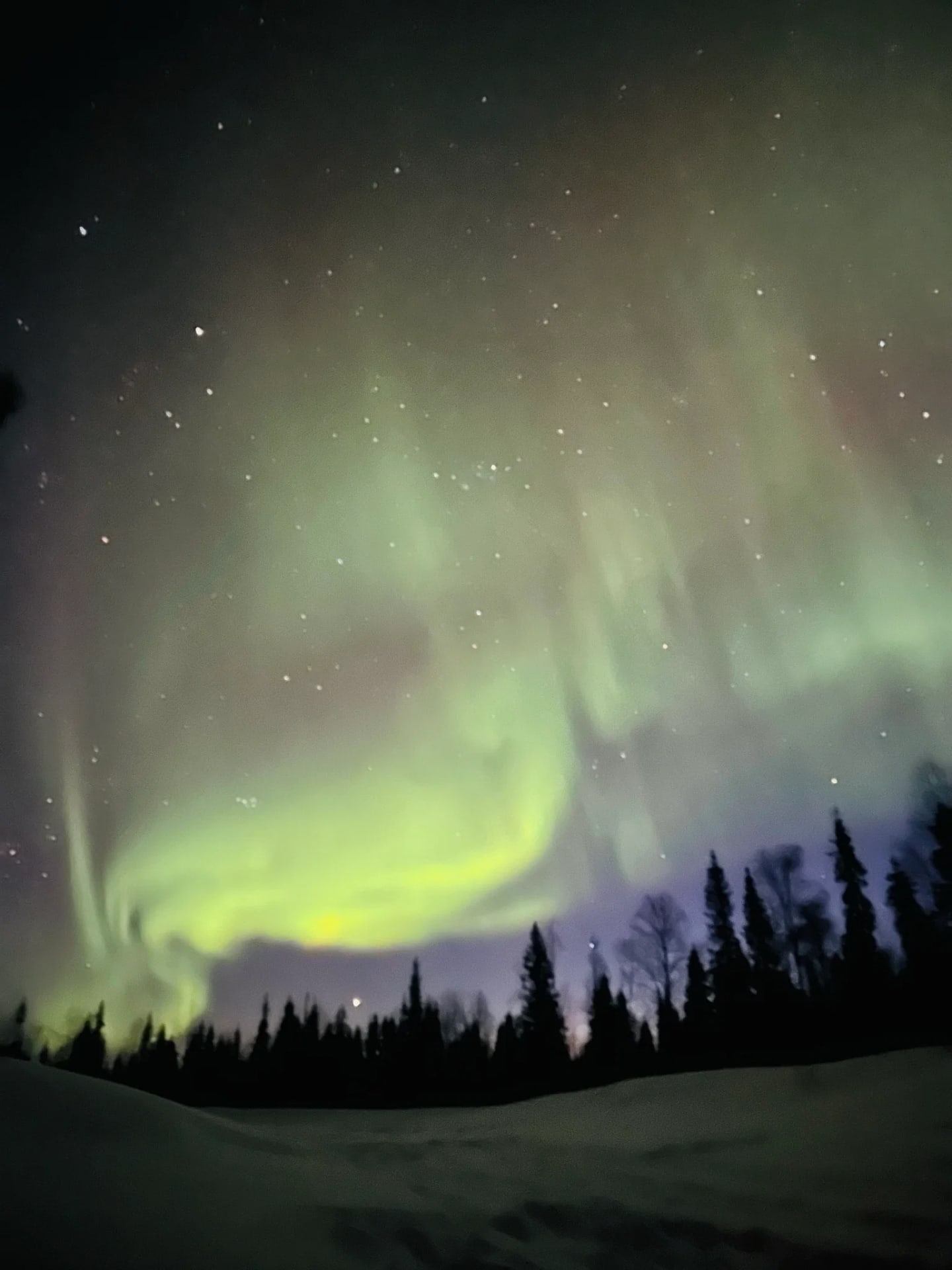 Aurora Borealis at Soma HideOut