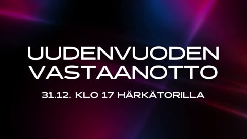 New Year's Celebration of City of Raahe