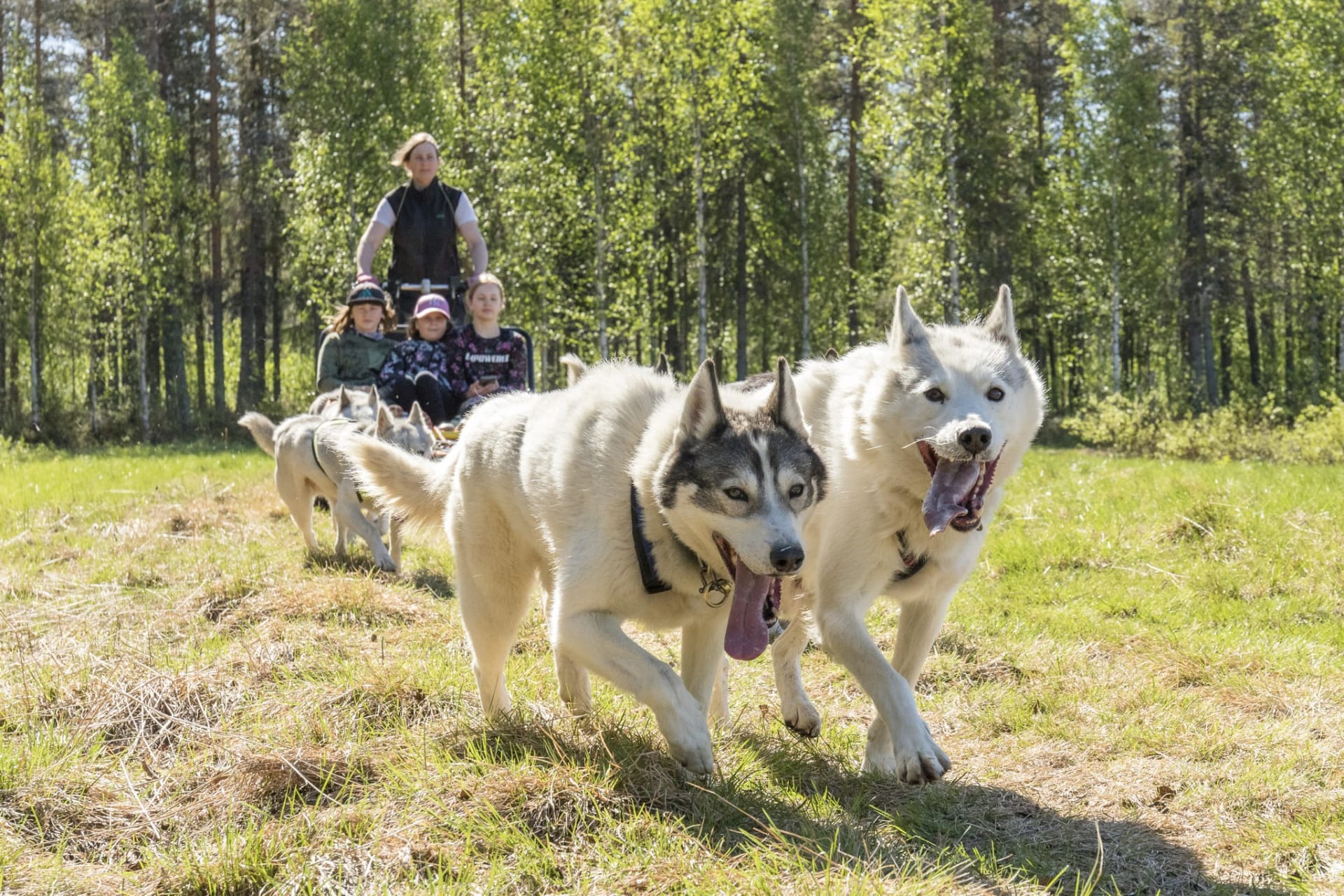 The program is suitable for the whole family