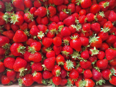 Uusi-Riihijärven tila