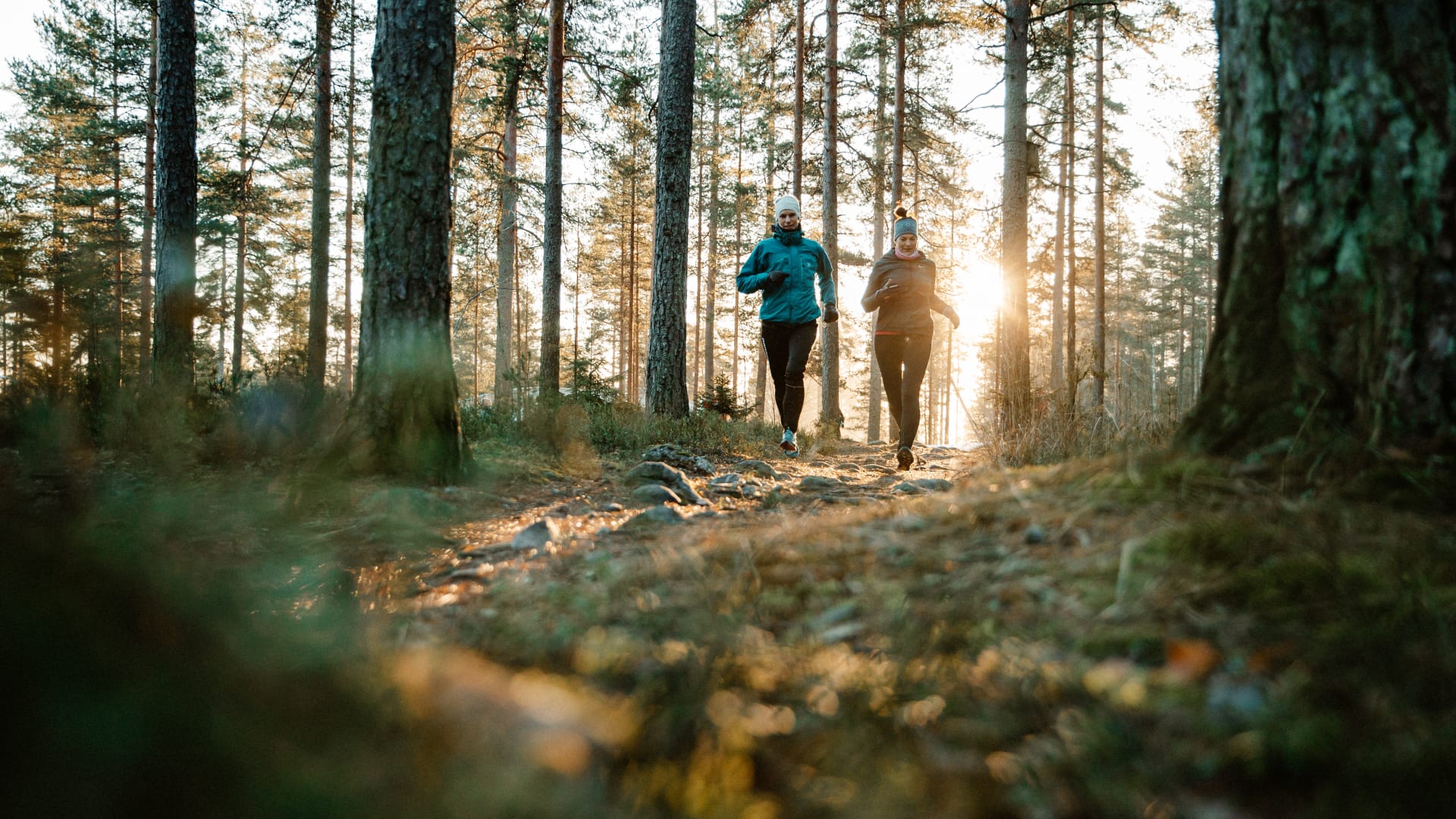 Salpausselkä jogging tracks