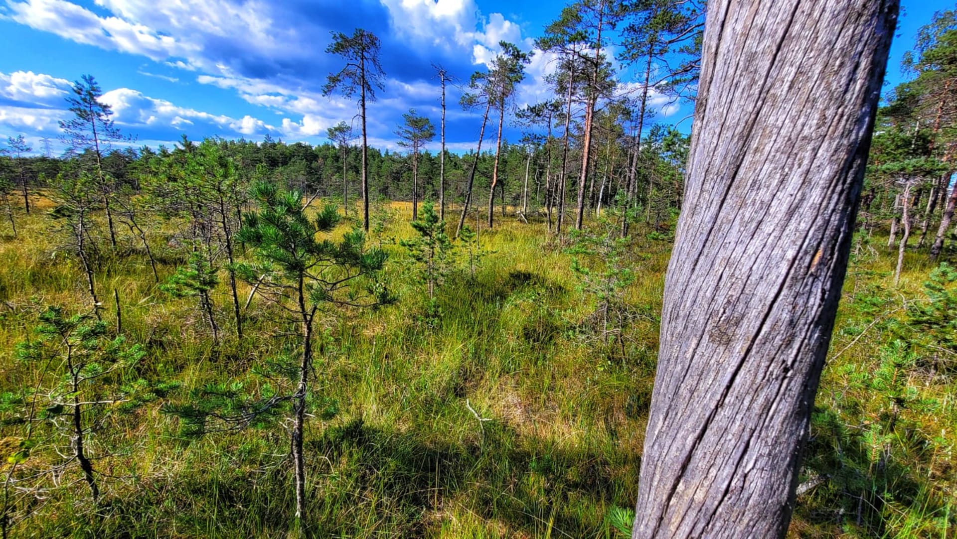 Hiking Tour to "Dorngarn Plateau" (4h)