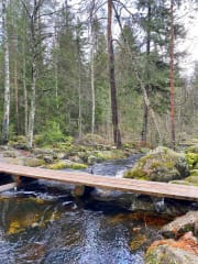 Laajanojan luontopolku