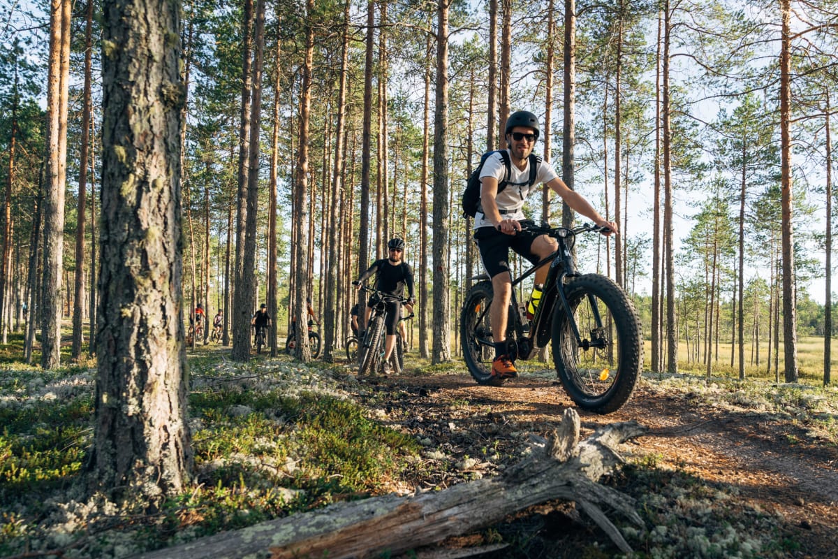 Mountain biking and hiking route - Köykkyrin retkireitistö