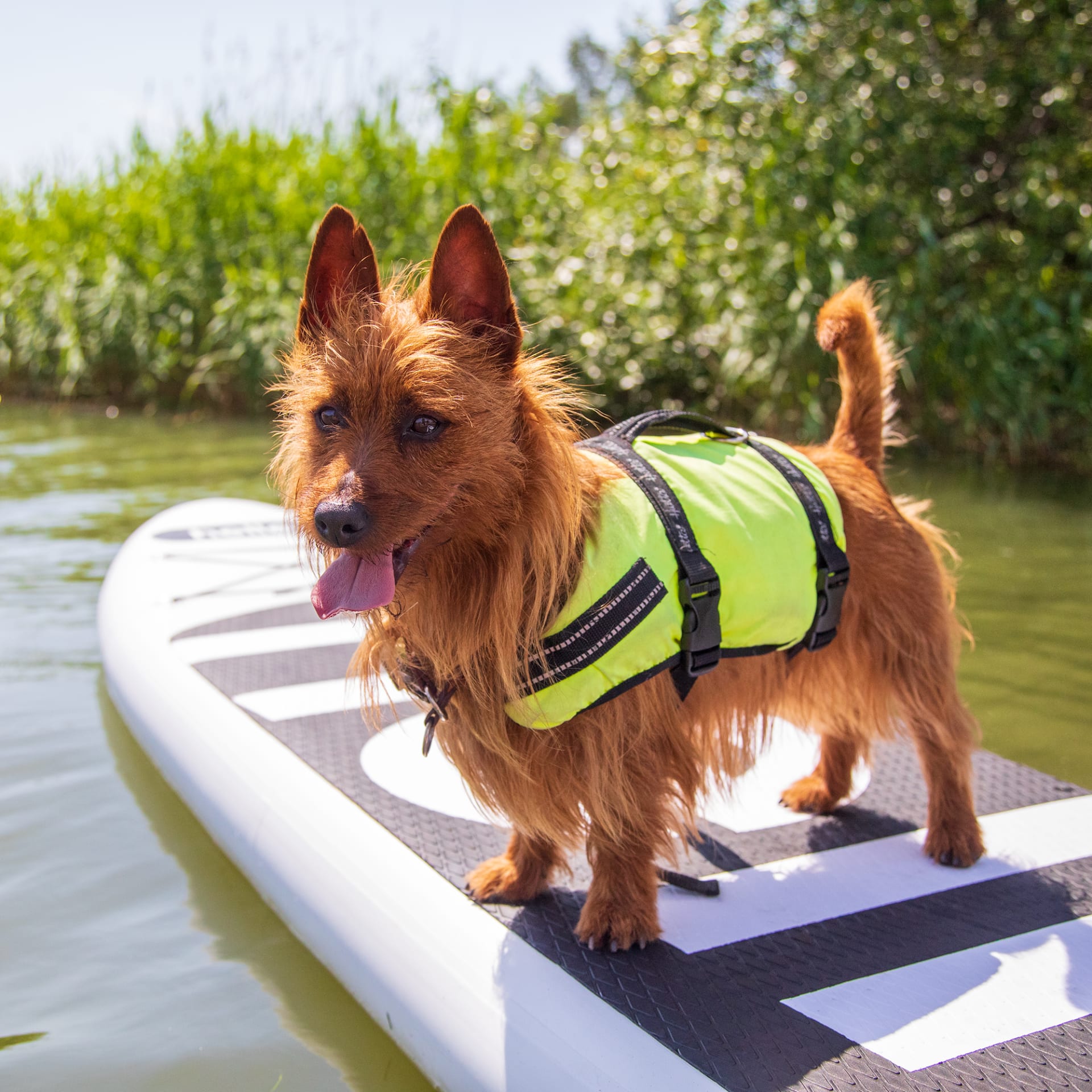 Satava Kayak & SUP, Turku