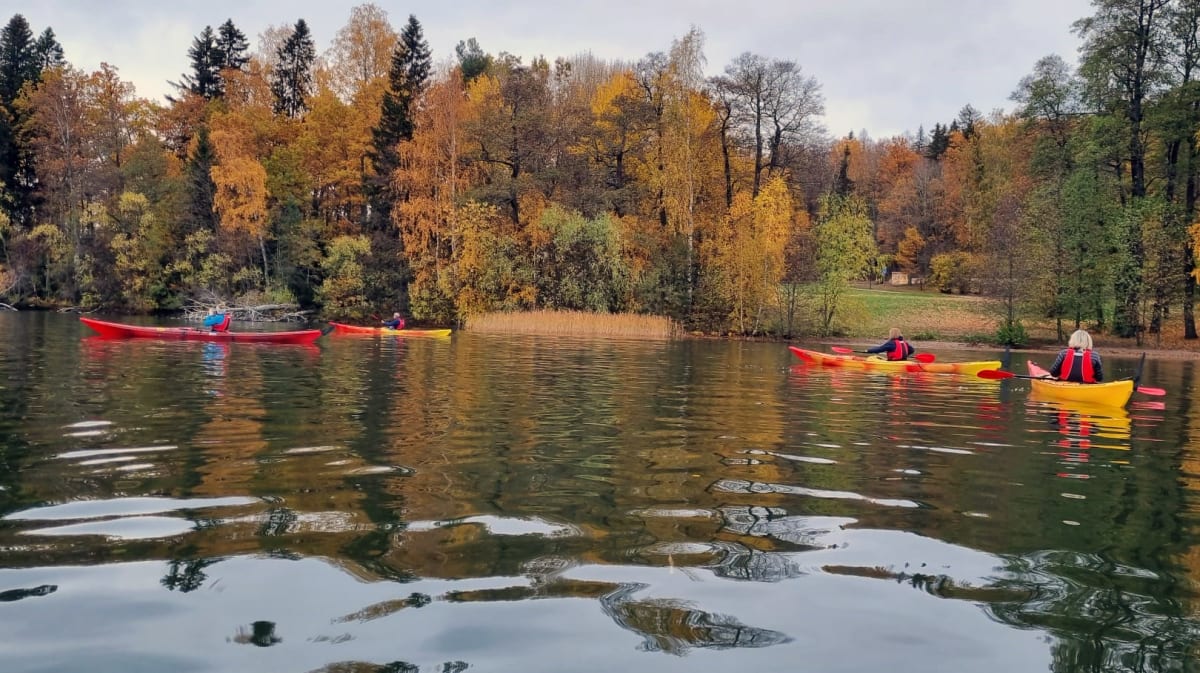 Guided kayak tour to Päijänne National Park