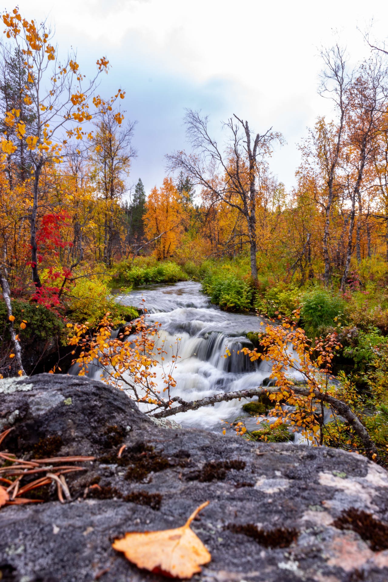 autumn colours