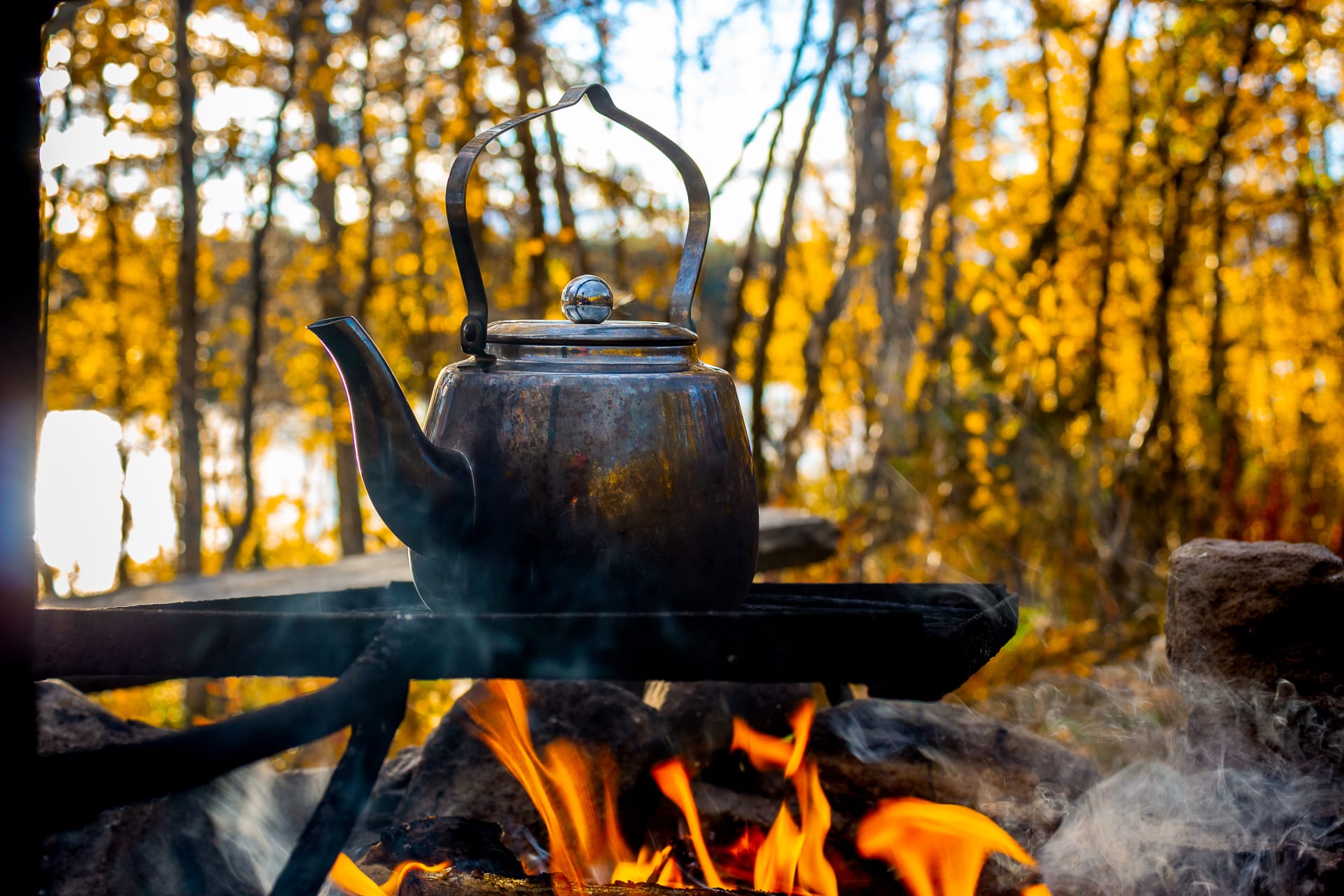 autumn colours coffee pot