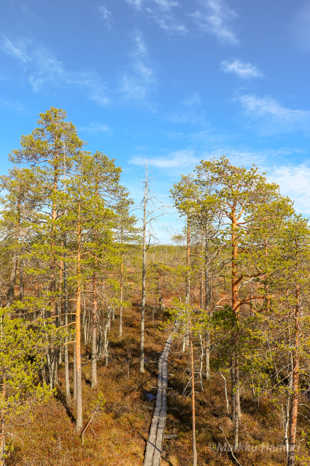 Hiking Trip to the Colourful Mire Reserve