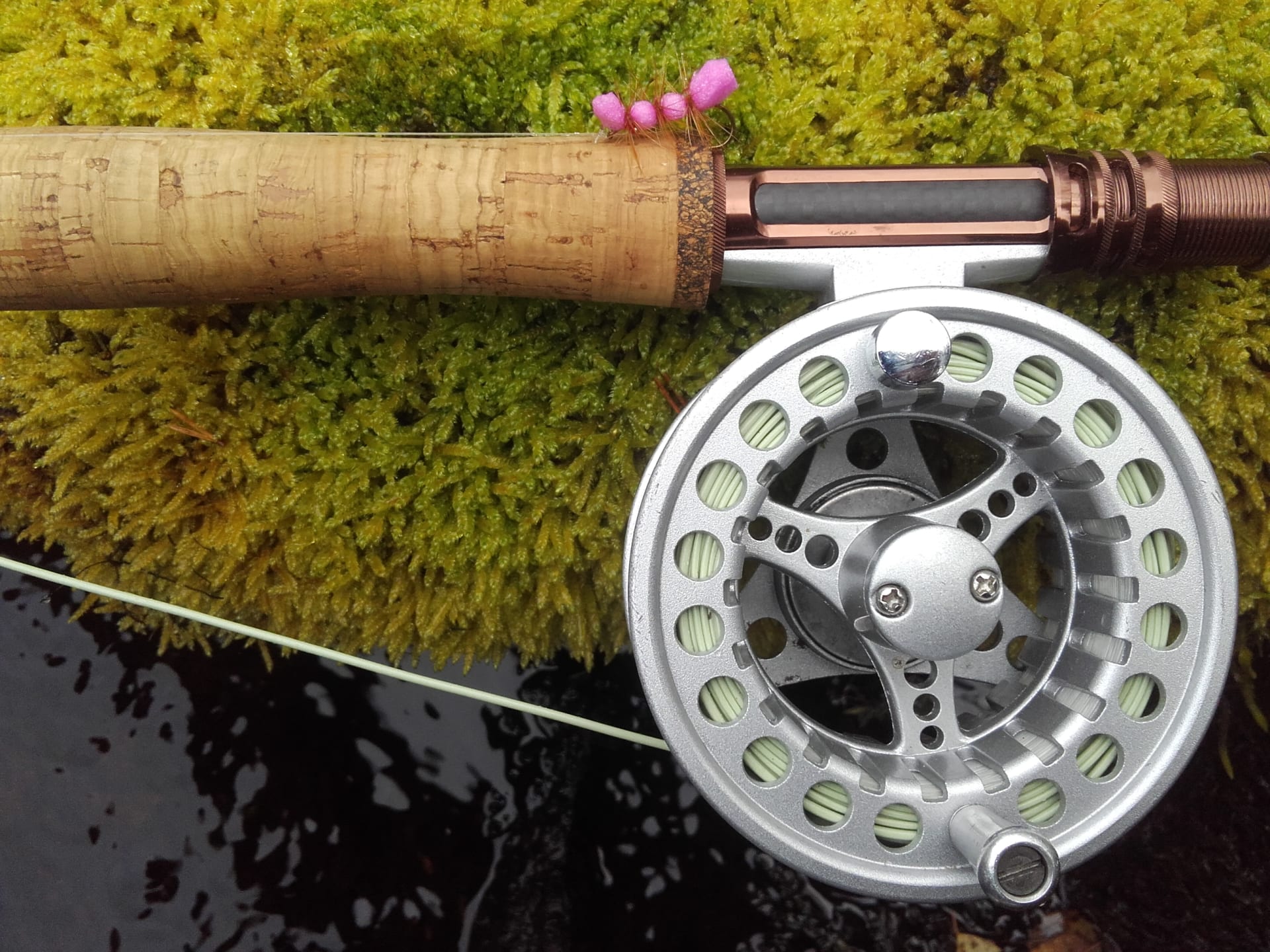 Flyfishing