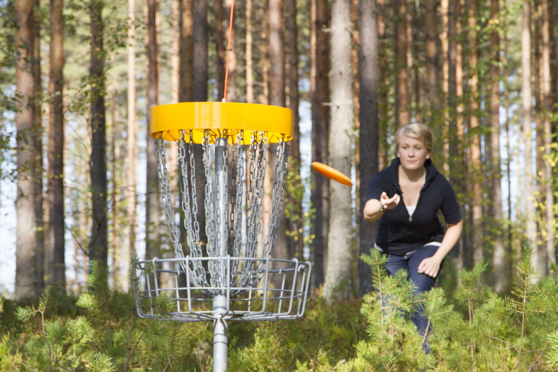 Saimaanranta Resort Disc Golf in Anttola, Mikkeli | Visit Finland