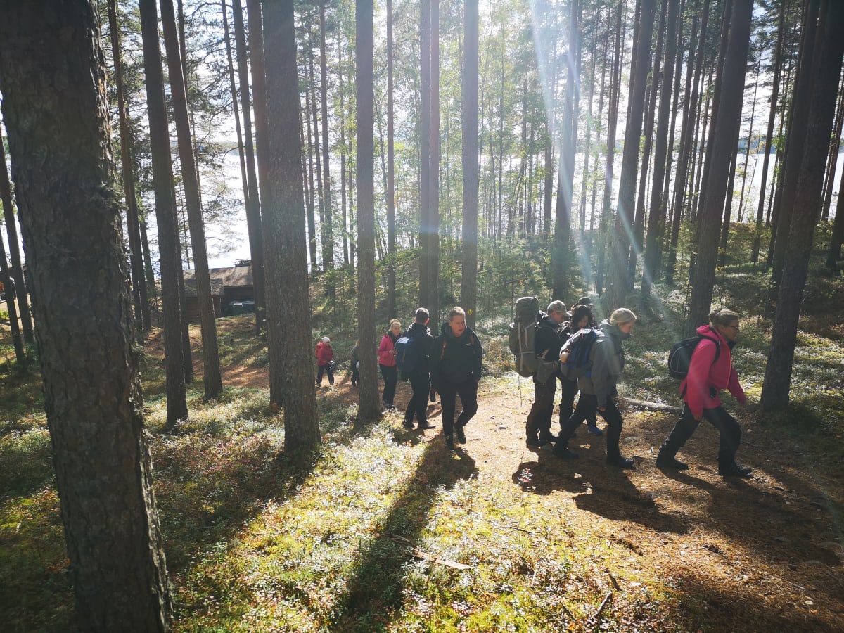 Hiking in Leivonmäki National Park