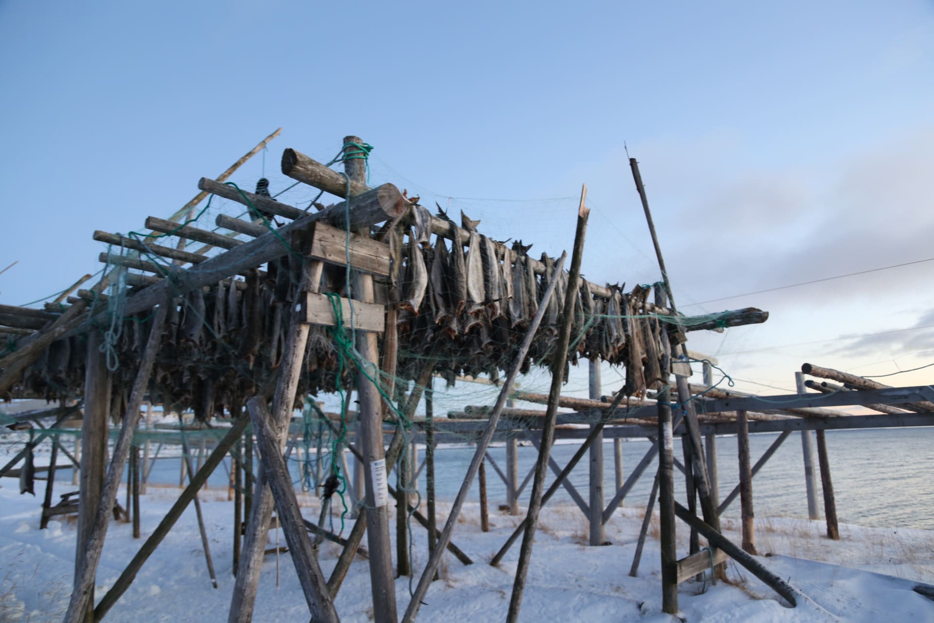 Fishrack