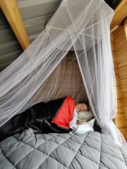 Sweet dreams under the mosquito nets