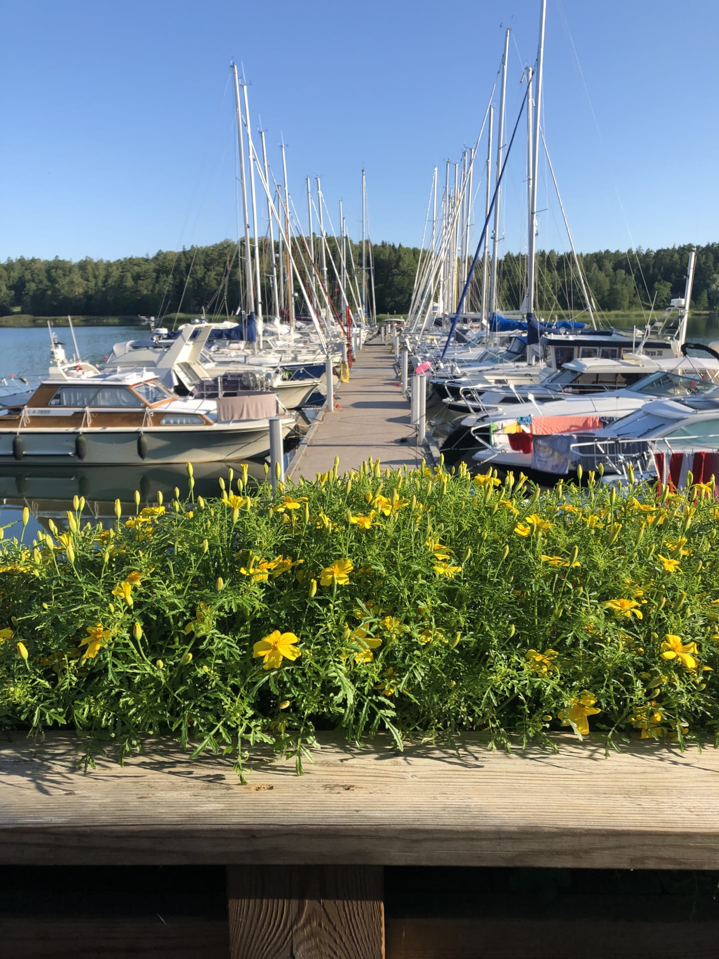 View from the restaurant