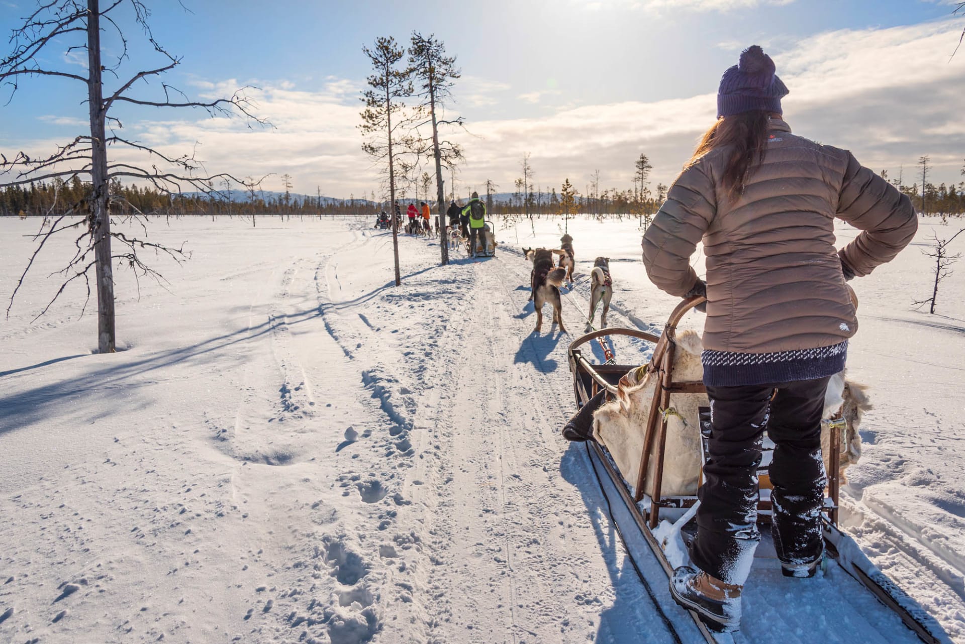 Sled dogs pulling the sled through Lapland’s untouched wilderness