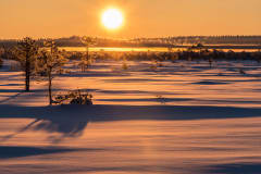 Iso keltainen aurinko mollottaa lumisen suomaiseman yllä. Kuva. Manu Sund/Vastavalo