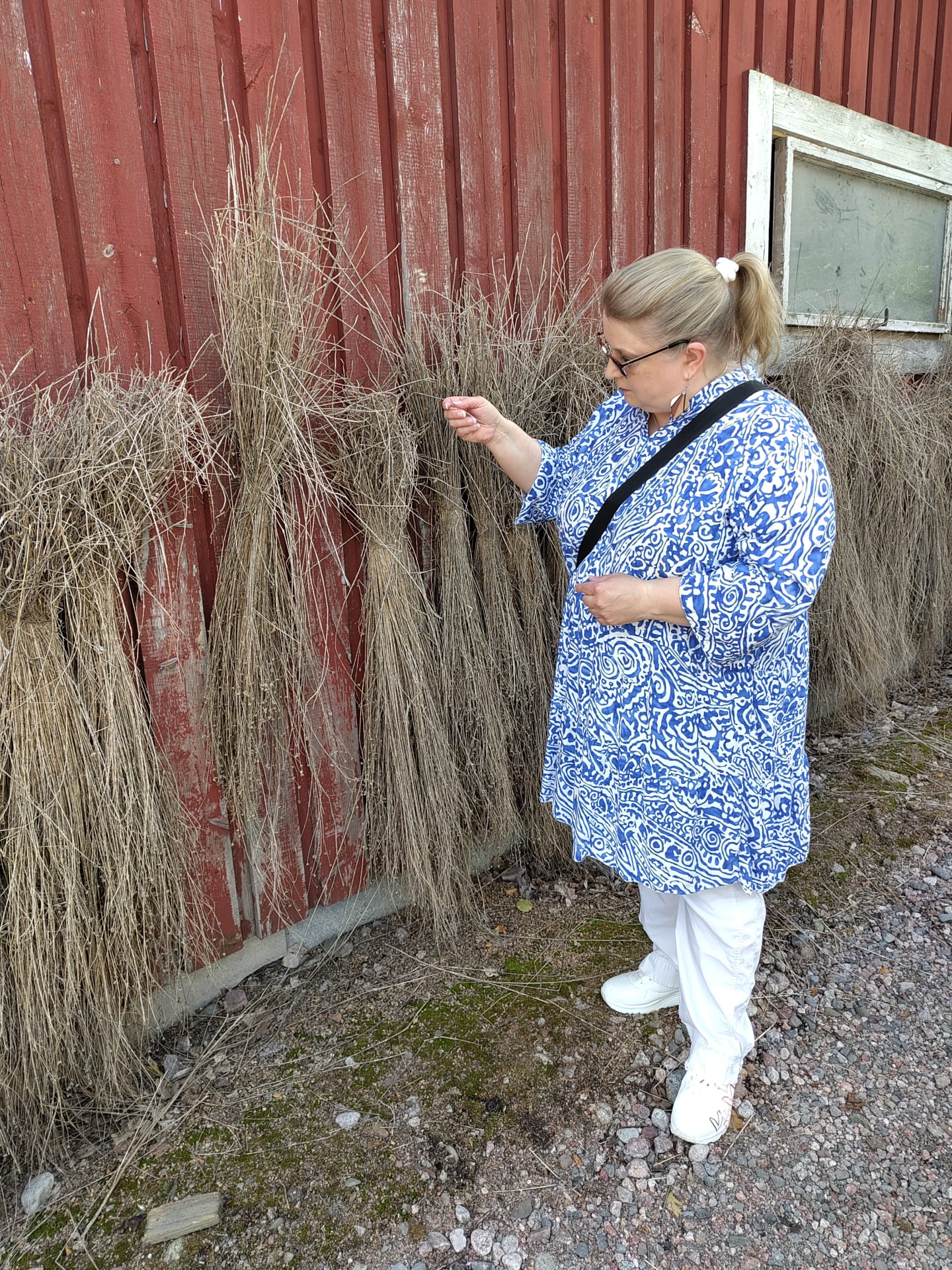 Dried flax on the wall