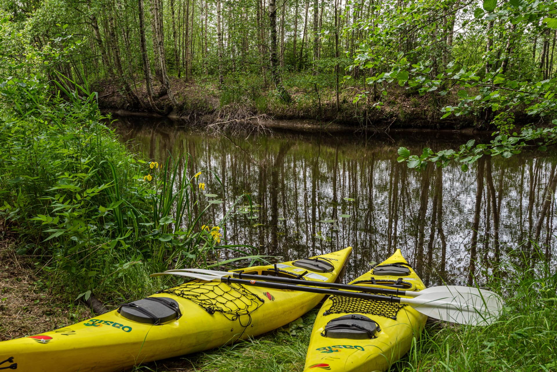 Kajaks zu mieten Kajaks zu mieten