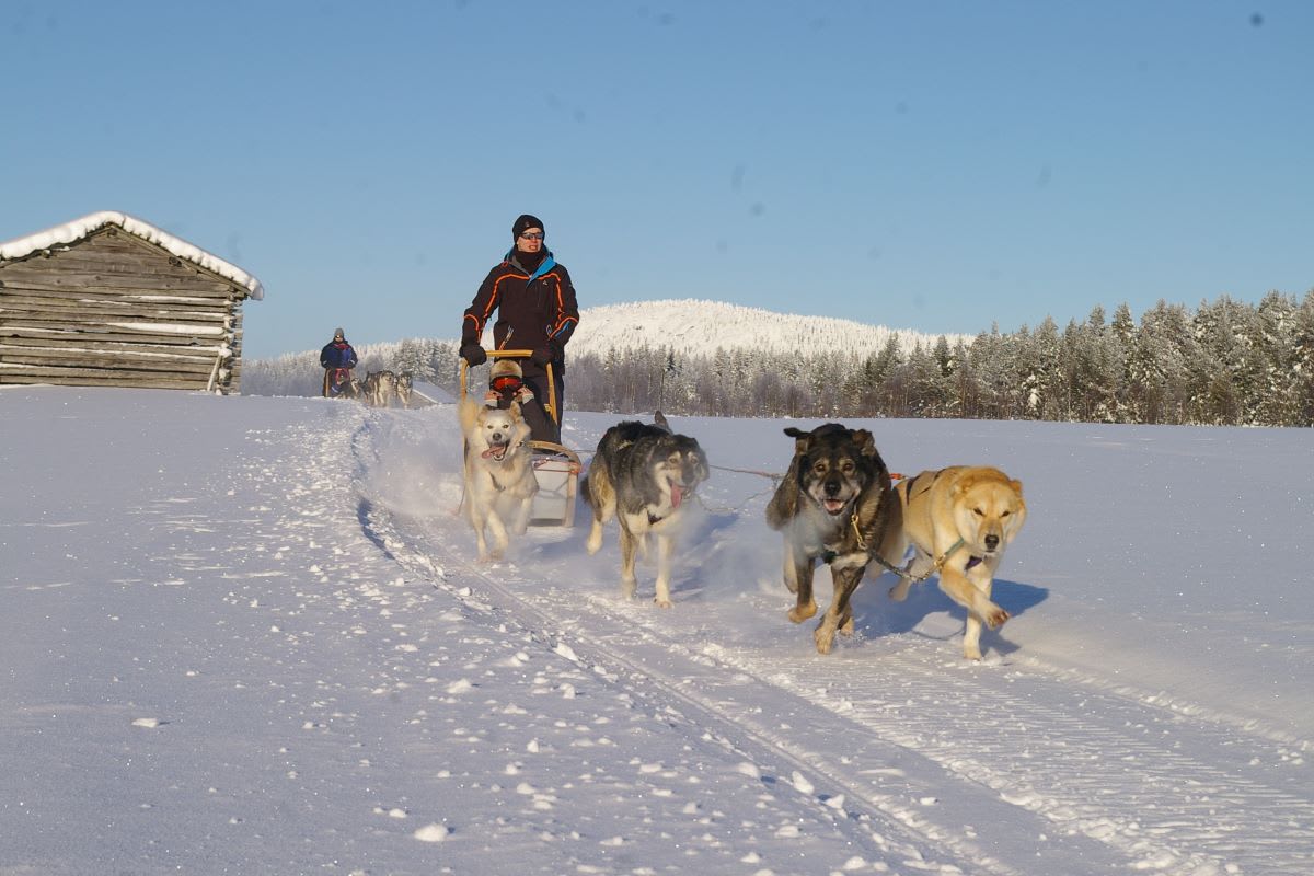Winter Fun in Finland