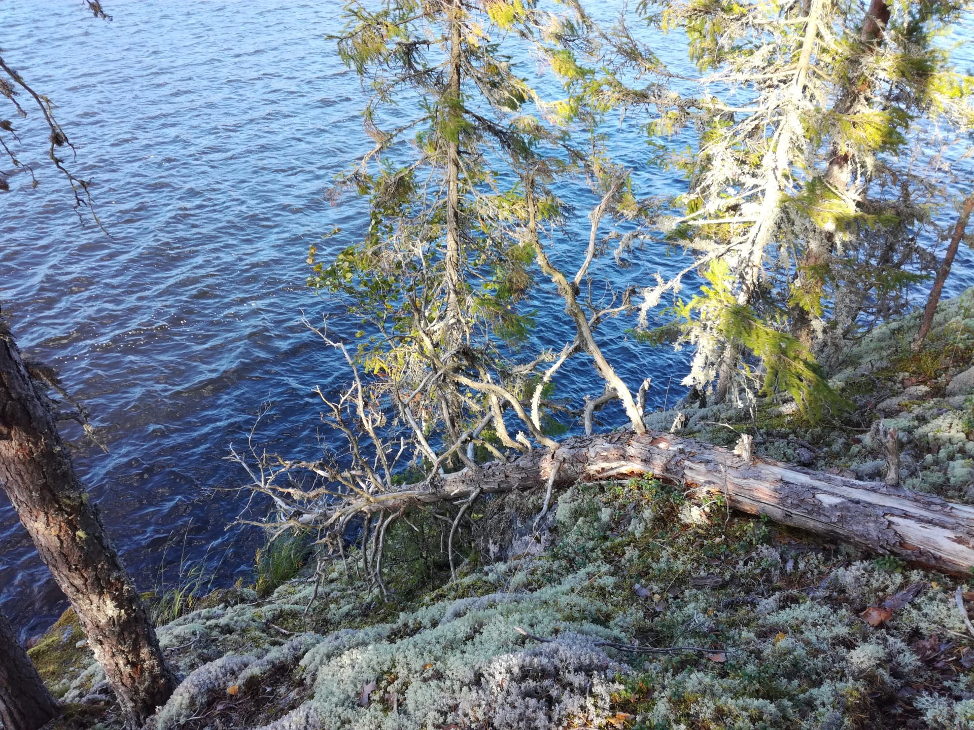 Scenery beside the trail