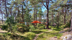 Sebbholmen EcoCamp Tentsile-teltat