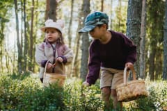 Two children holding a basket and picking blueberries in green forest