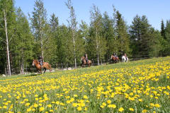 1h maastovaellus kokeneille