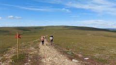 Urho Kekkosen kansallispuisto