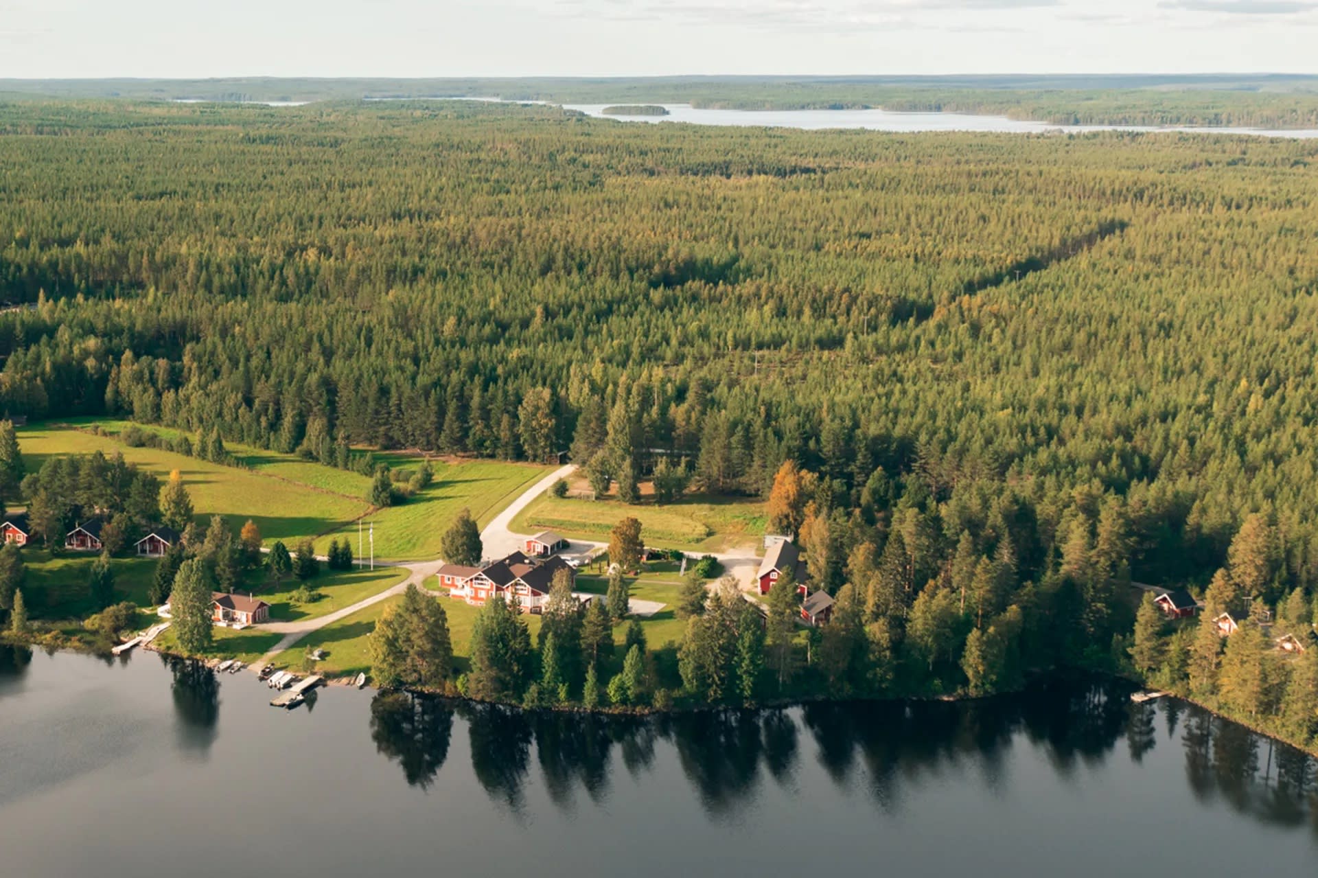 www.aksytammat.fi