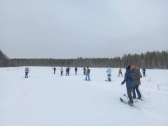 Winter Nature Snowshoe Safari3