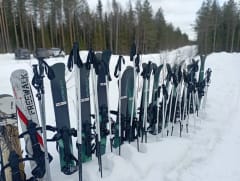 Winter Nature Snowshoe Safari4