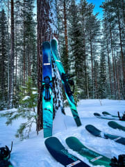 Winter Nature Snowshoe Safari5