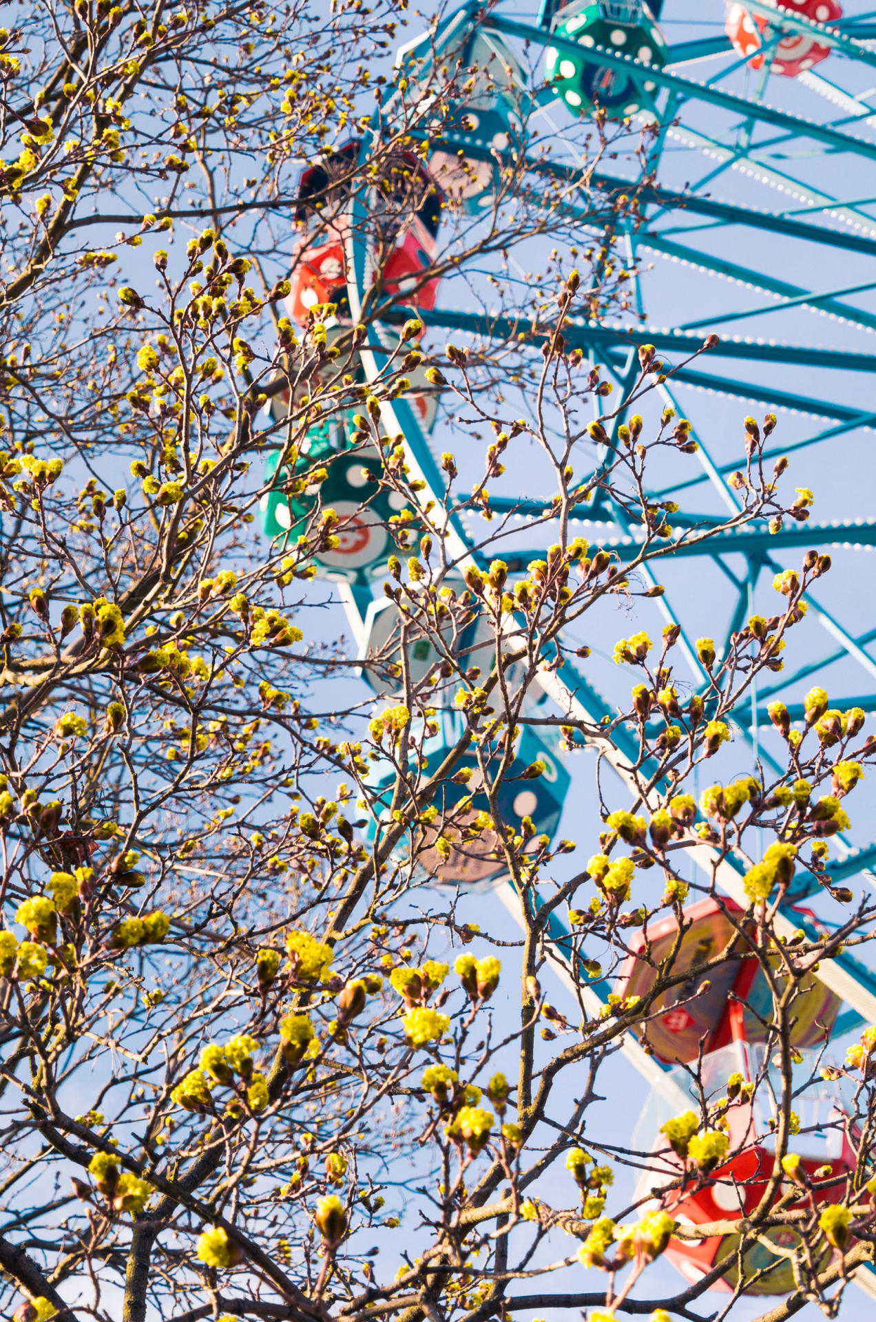 Linnanmäki Amusement Park is also open