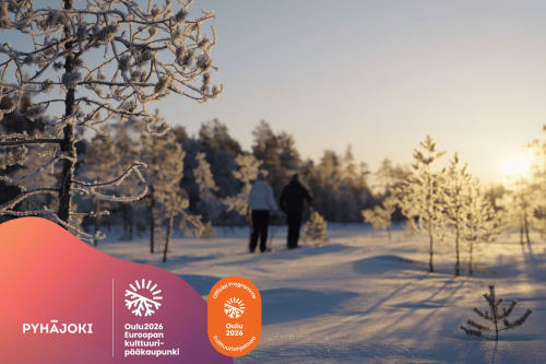 pariskunta hiihtää lumisessa maisemassa