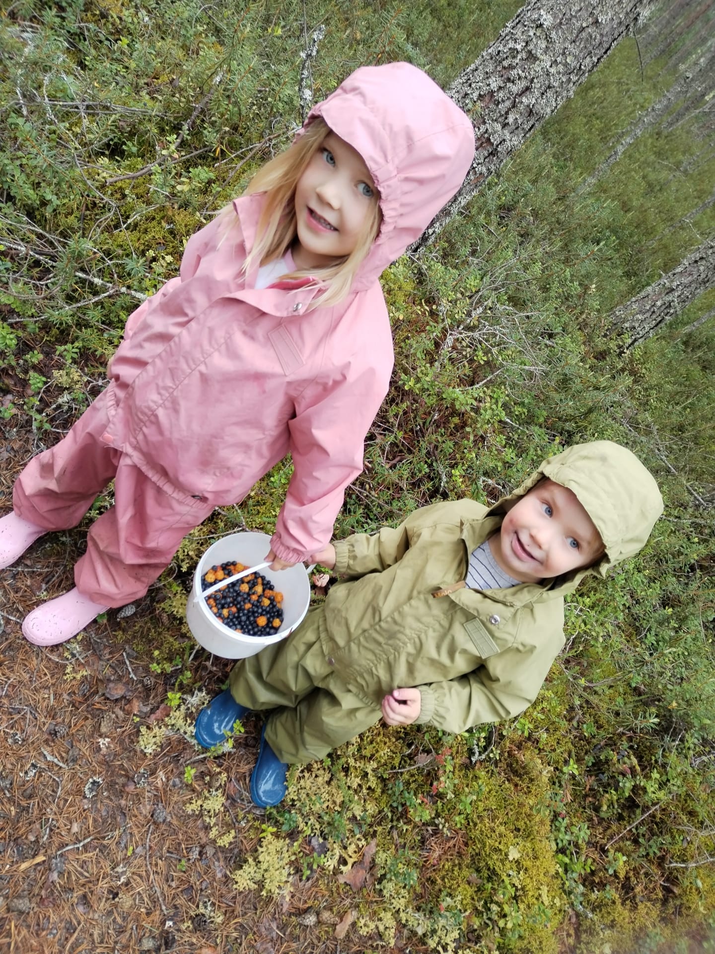 Lapset ja marjasanko