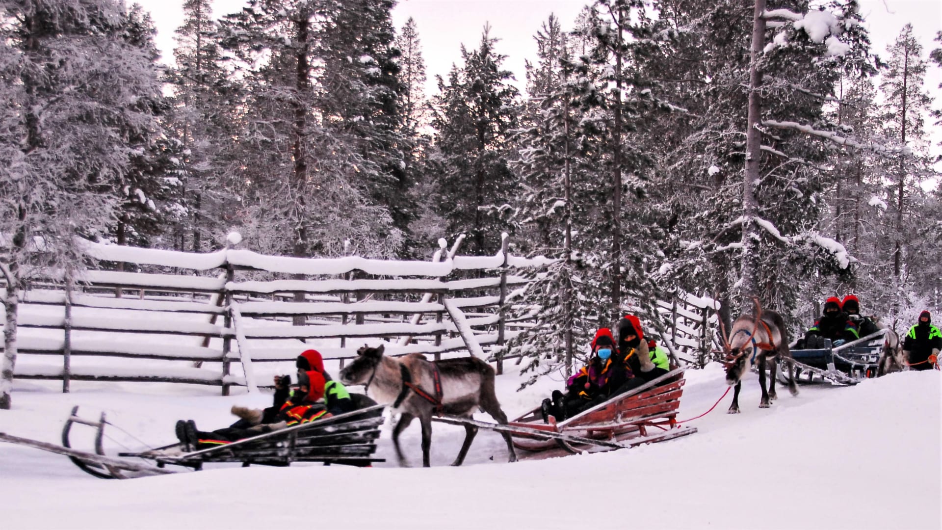 Reindeer drive for groups