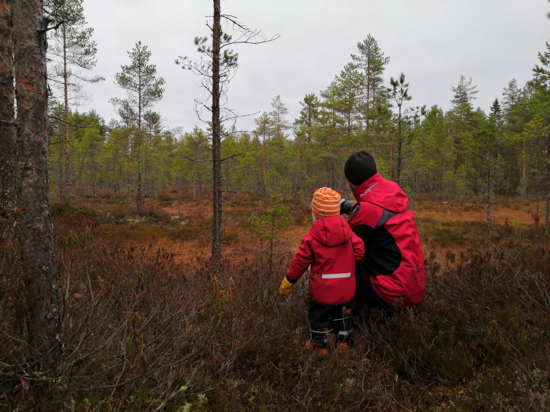 Kuninkaanpolku Trail