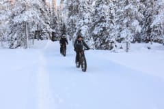 South Lapland Winter Experience - Winter biking