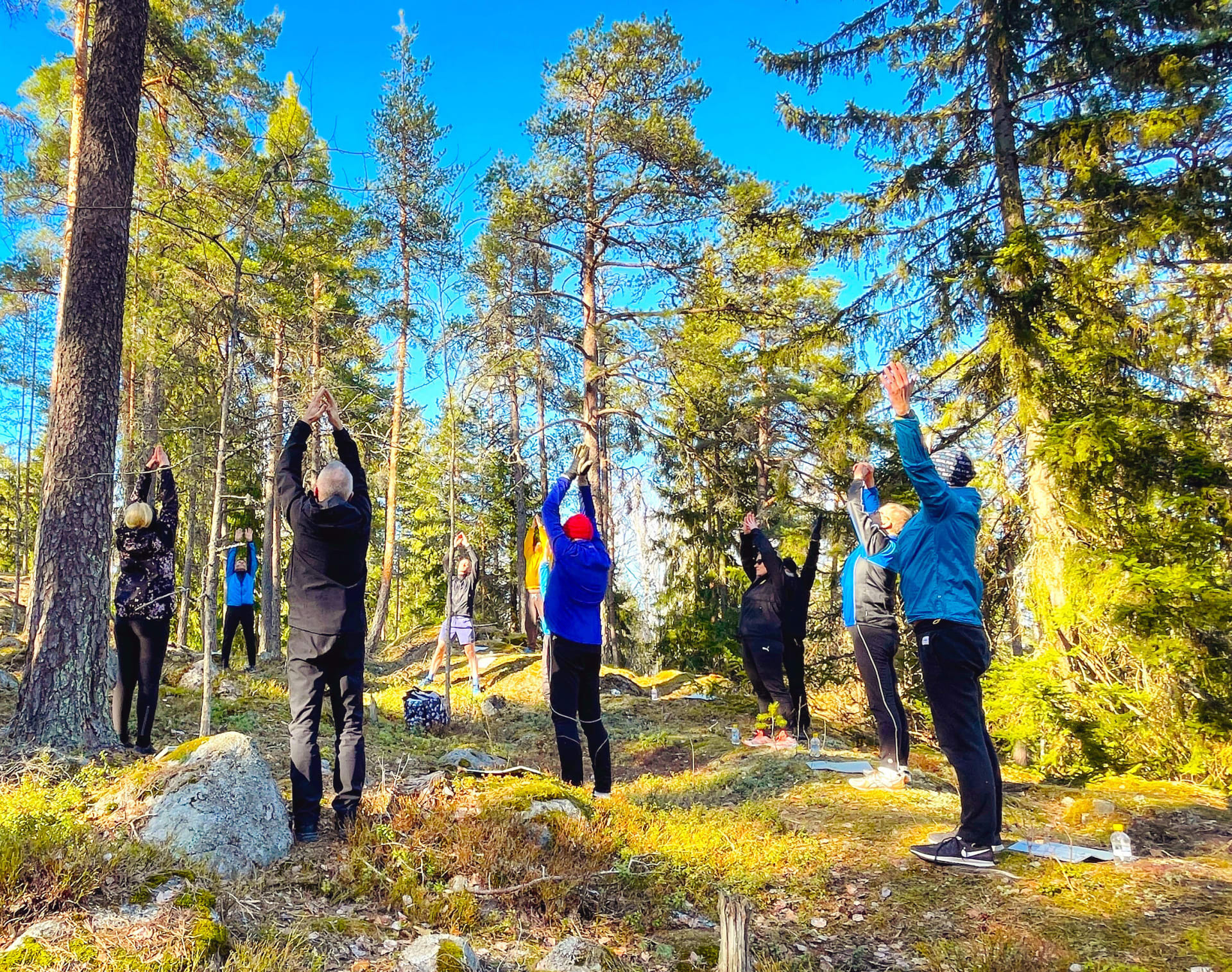 mindfulness forest therapy metsämieli