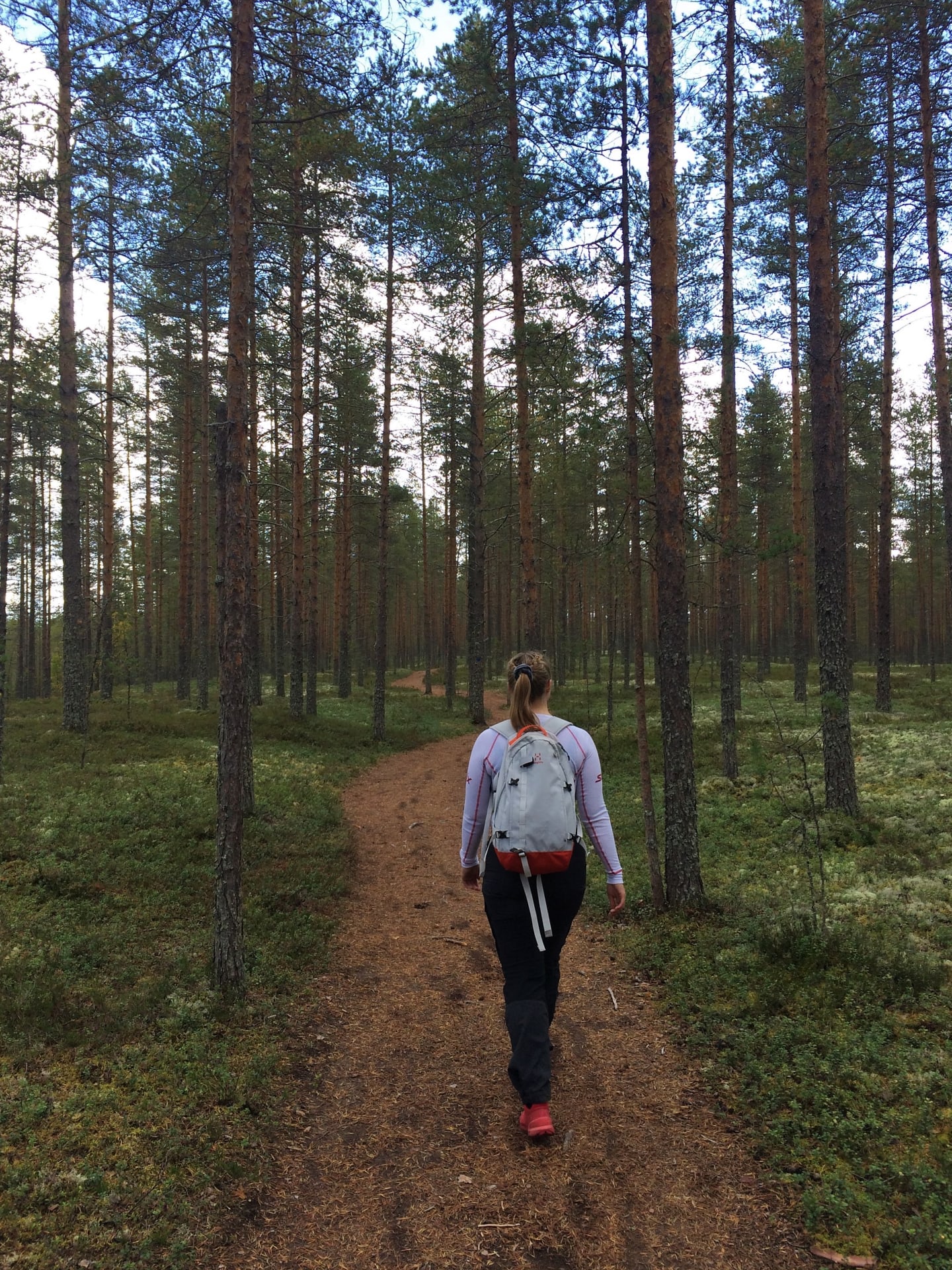 Walking in Pilpasuo nature trail.