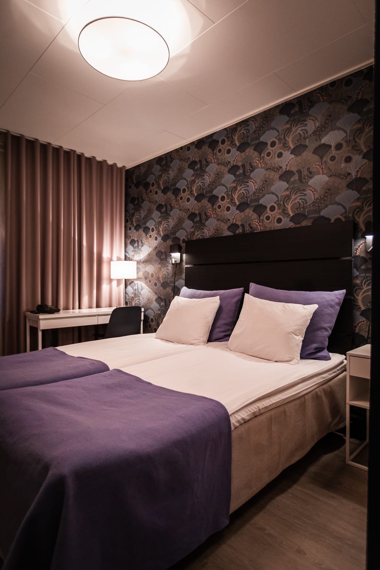 Blue twilight rooms at the Hotel Aakenus, these rooms are also pet friendly