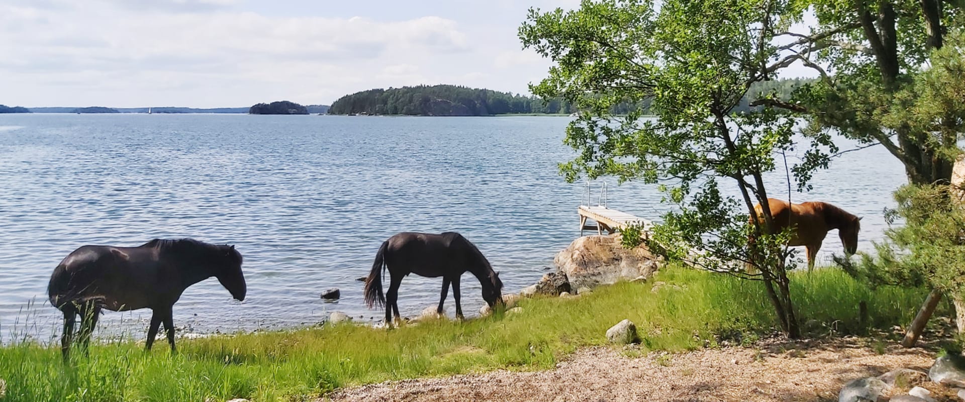 Björkholm 21600 Parainen