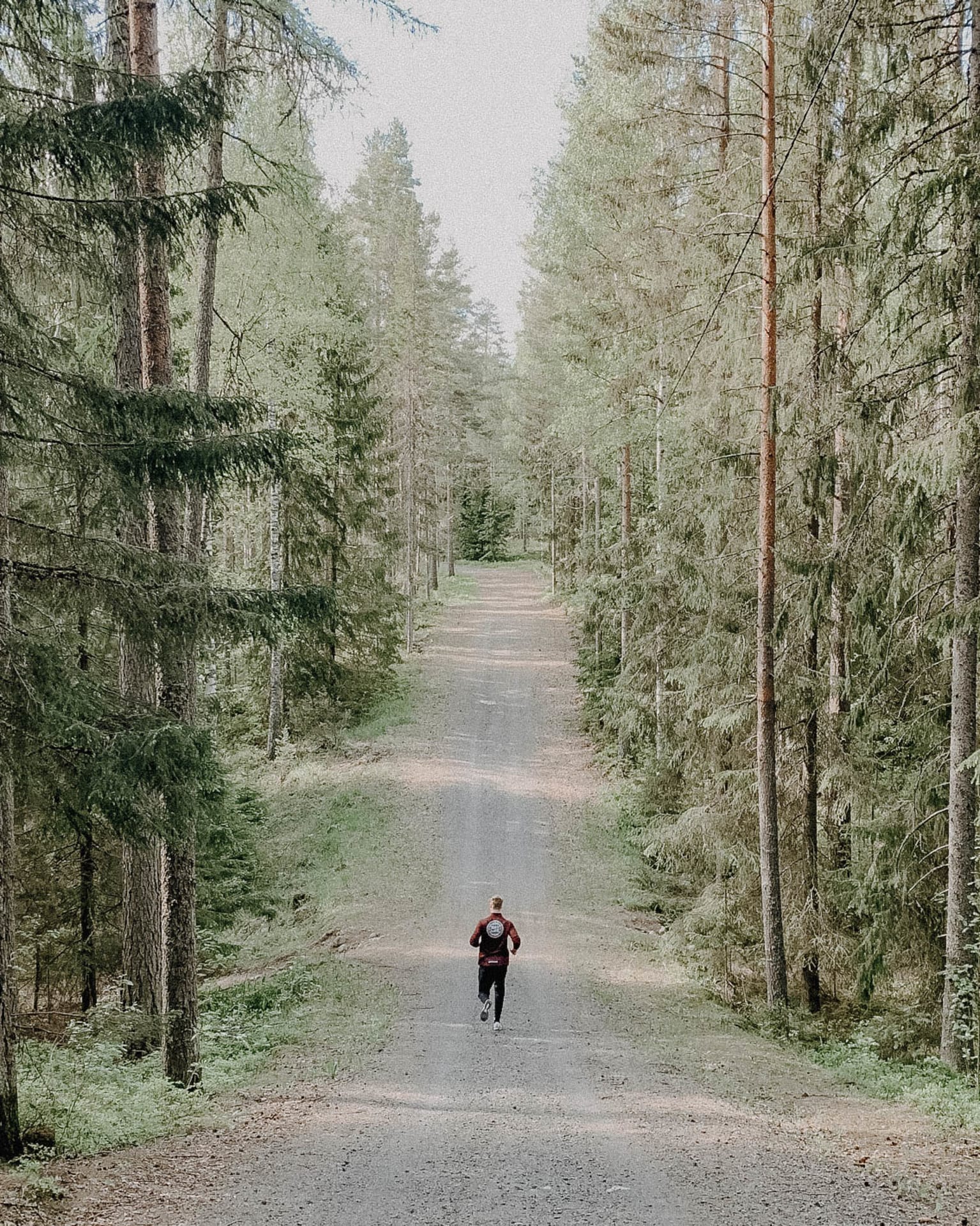 A runner on the Ylöjärvenharju esker