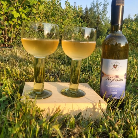 Viherherukkaviinitarjoilua marjatarhan rauhassa